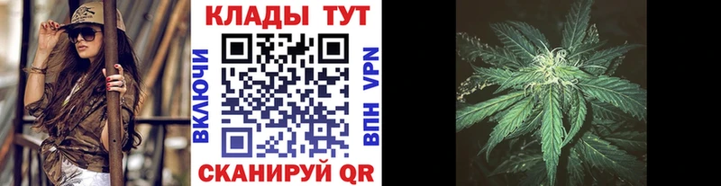 Где купить Дмитриев A-PVP  Меф мяу мяу  ГАШ  Канабис  Cocaine 