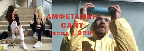 индика Магас