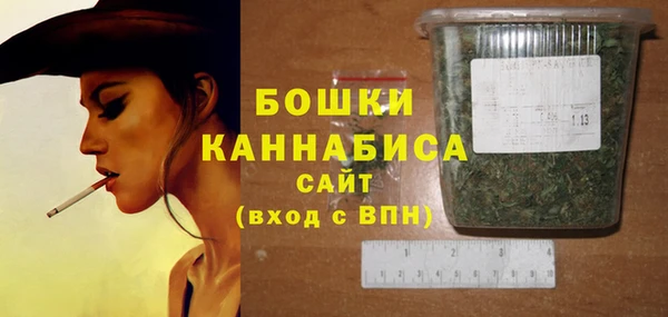 индика Магас
