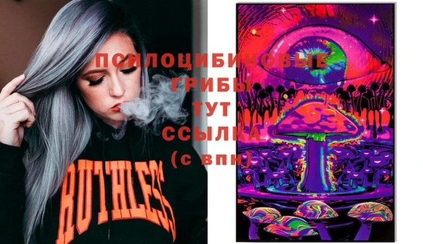 стаф Майский