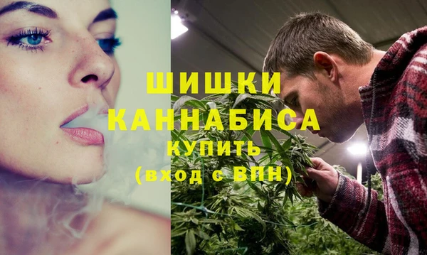 индика Магас