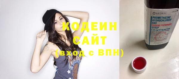 индика Магас