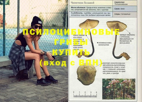 Альфа ПВП Магадан