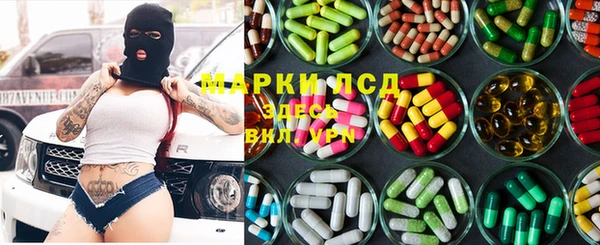 индика Магас