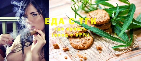 индика Магас