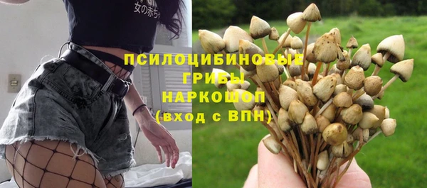Альфа ПВП Магадан