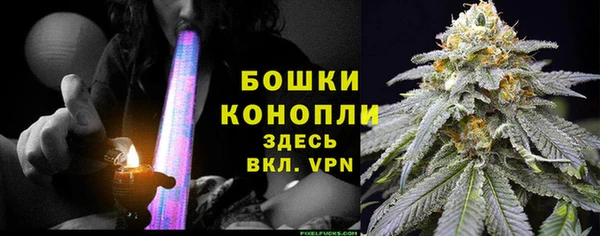 стаф Майский