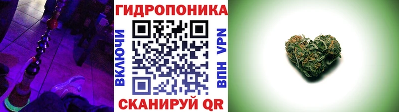 Канабис Amnesia  Дмитриев 